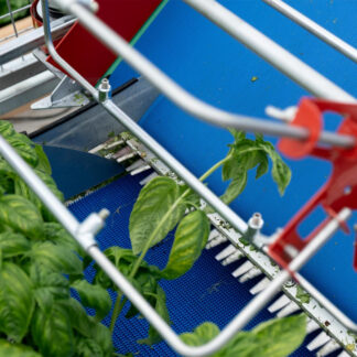 Babyleaf Harvester, cosechadora de verduras de hoja